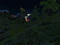Jungle Moonrise
