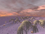 Rithwic Winter Skyline